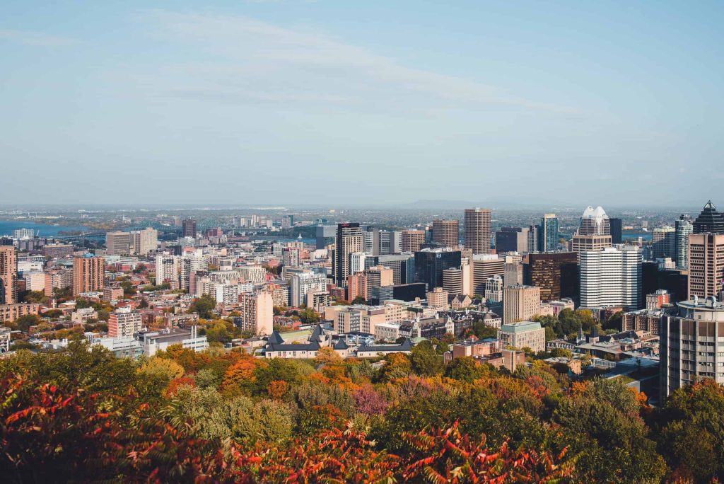Montreal, a welcoming land for international talents