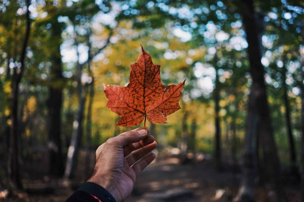 TOUT SAVOIR SUR LA RÉSIDENCE PERMANENTE AU QUÉBEC
