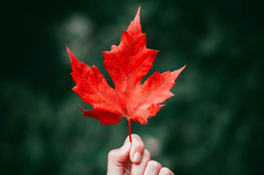 Immétis fait le point sur les possibilités qui pourraient s’offrir à vous pour vous installer au Canada en 2025