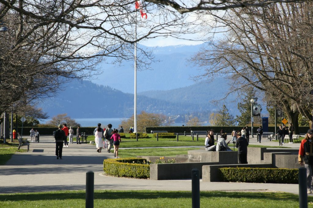 bridging open work permit