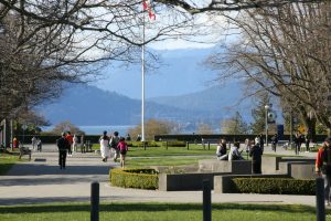 bridging open work permit