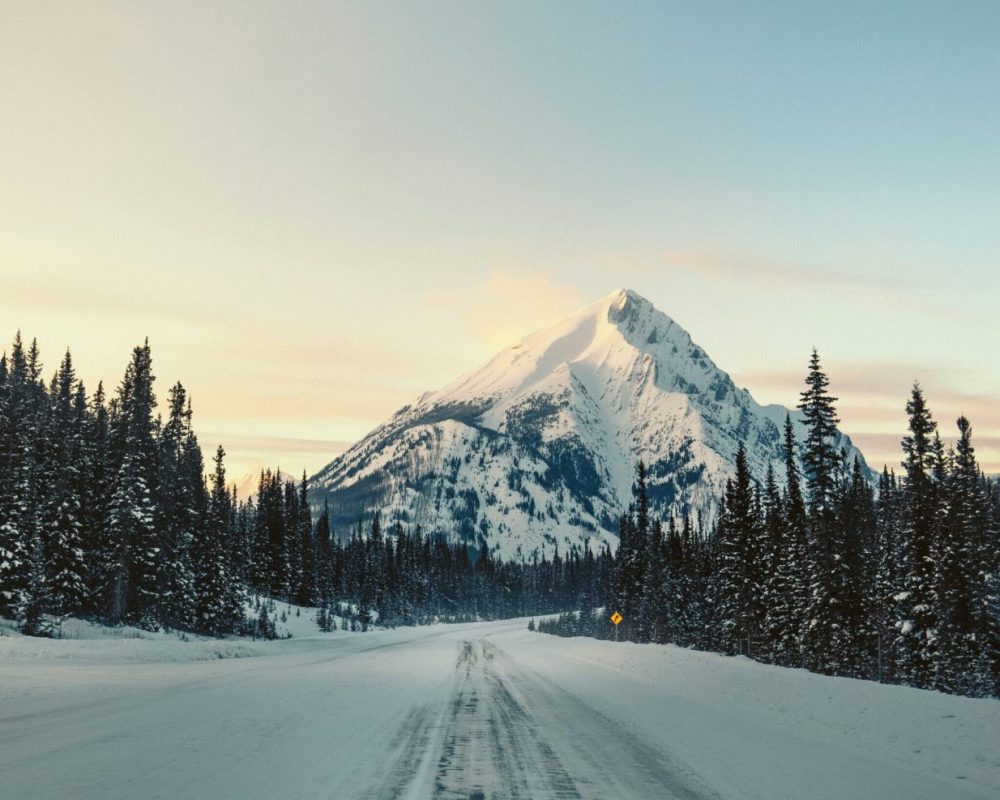 corey-tran-MuzkNJsjaBs-unsplash